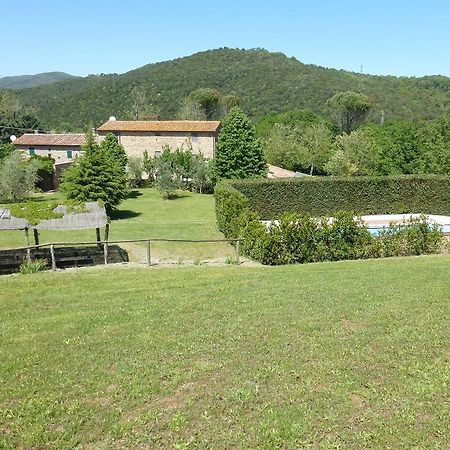 Agriturismo Le Colline Montescudaio Szoba fotó