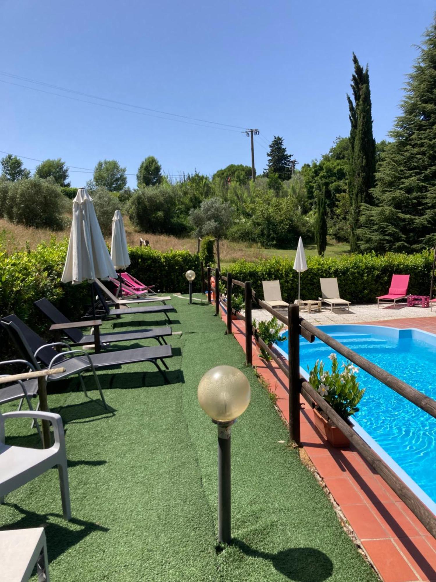 Agriturismo Le Colline Montescudaio Kültér fotó