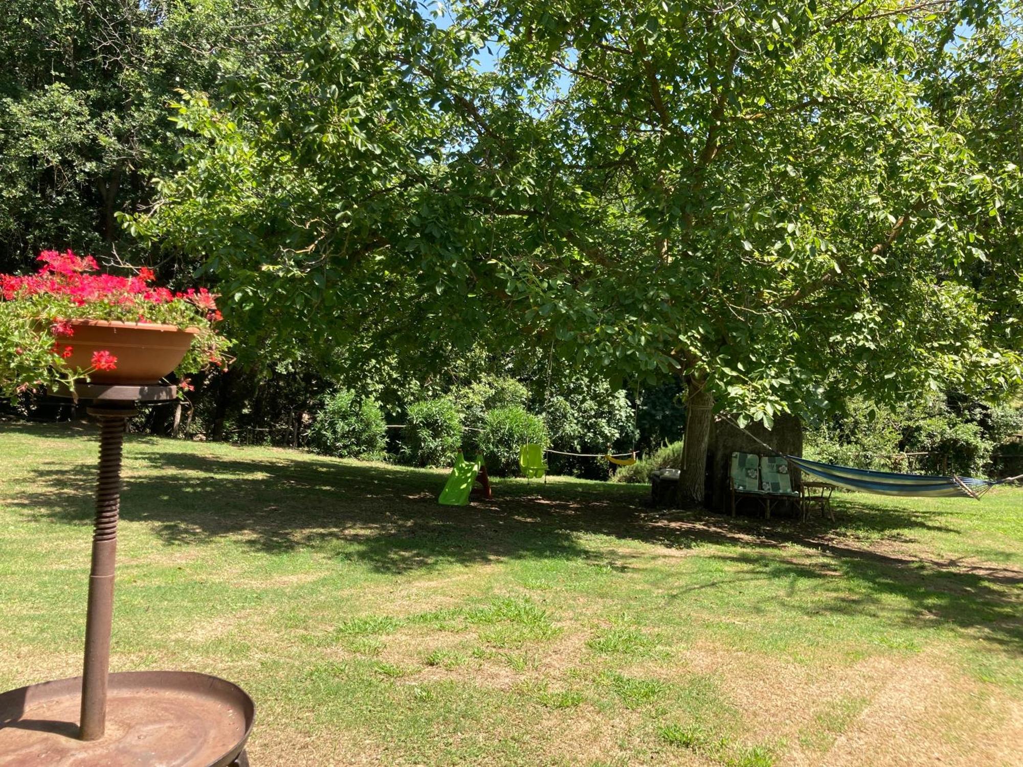 Agriturismo Le Colline Montescudaio Kültér fotó