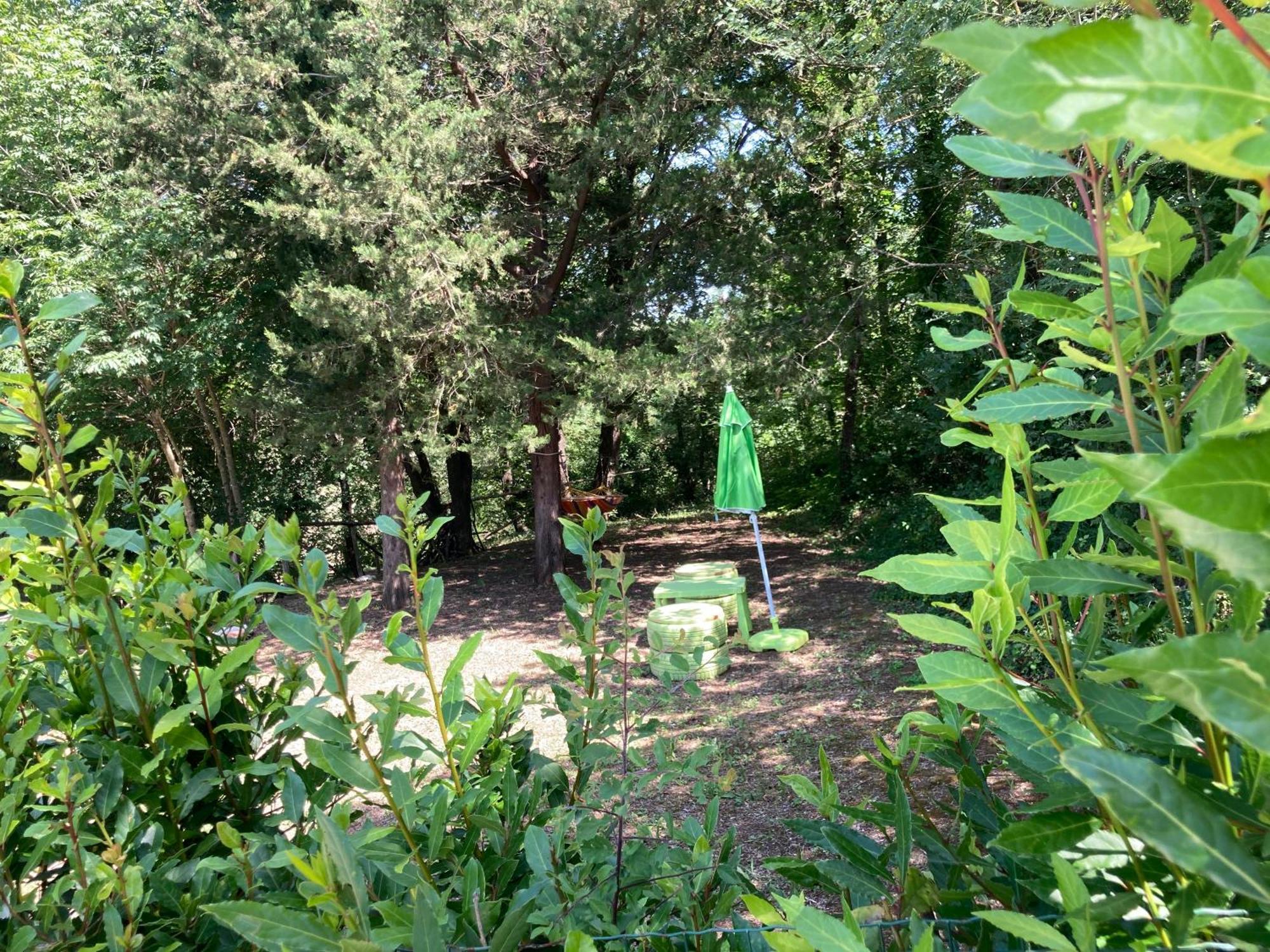 Agriturismo Le Colline Montescudaio Kültér fotó