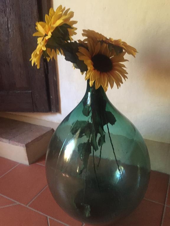 Agriturismo Le Colline Montescudaio Kültér fotó