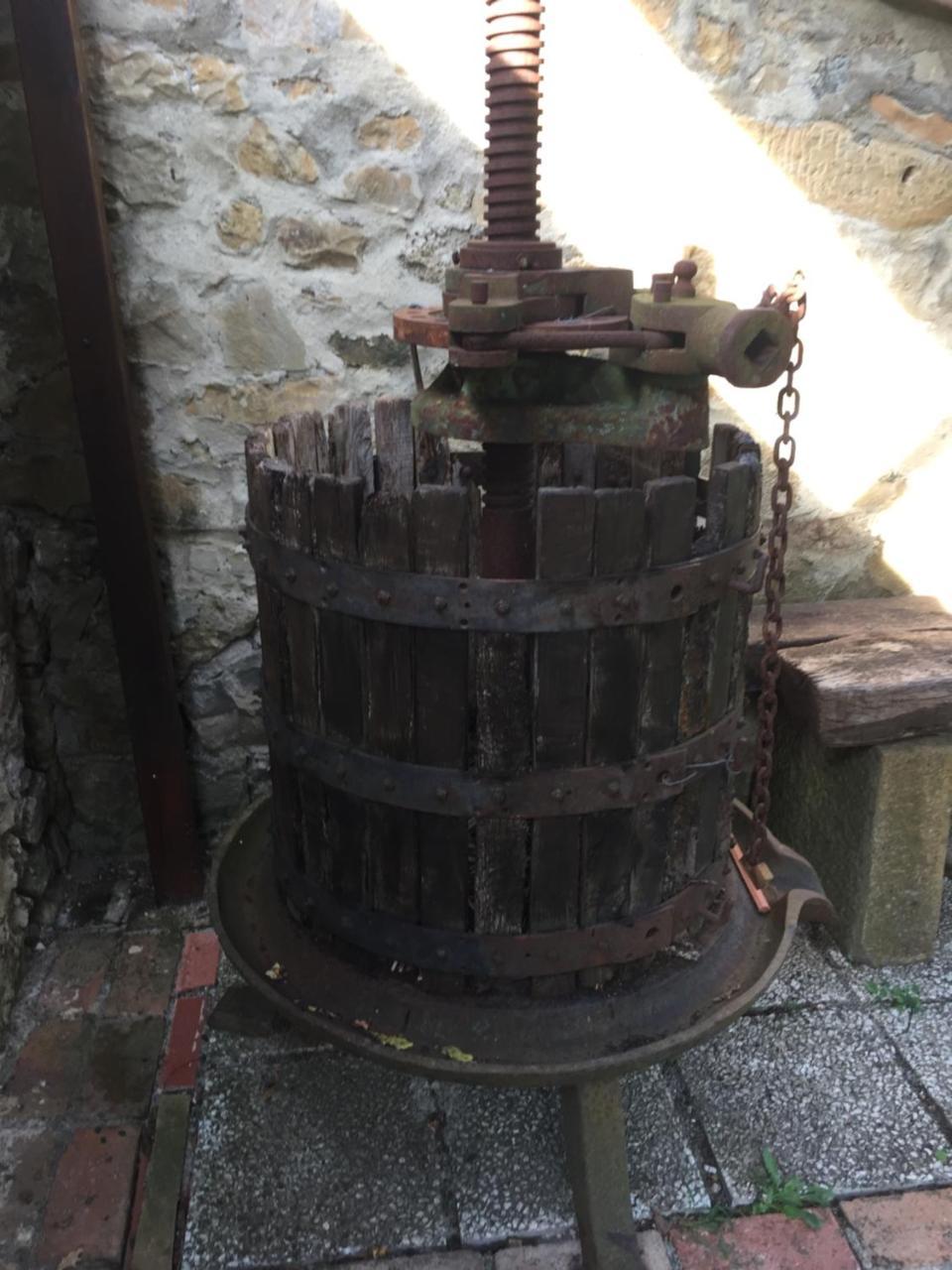 Agriturismo Le Colline Montescudaio Kültér fotó