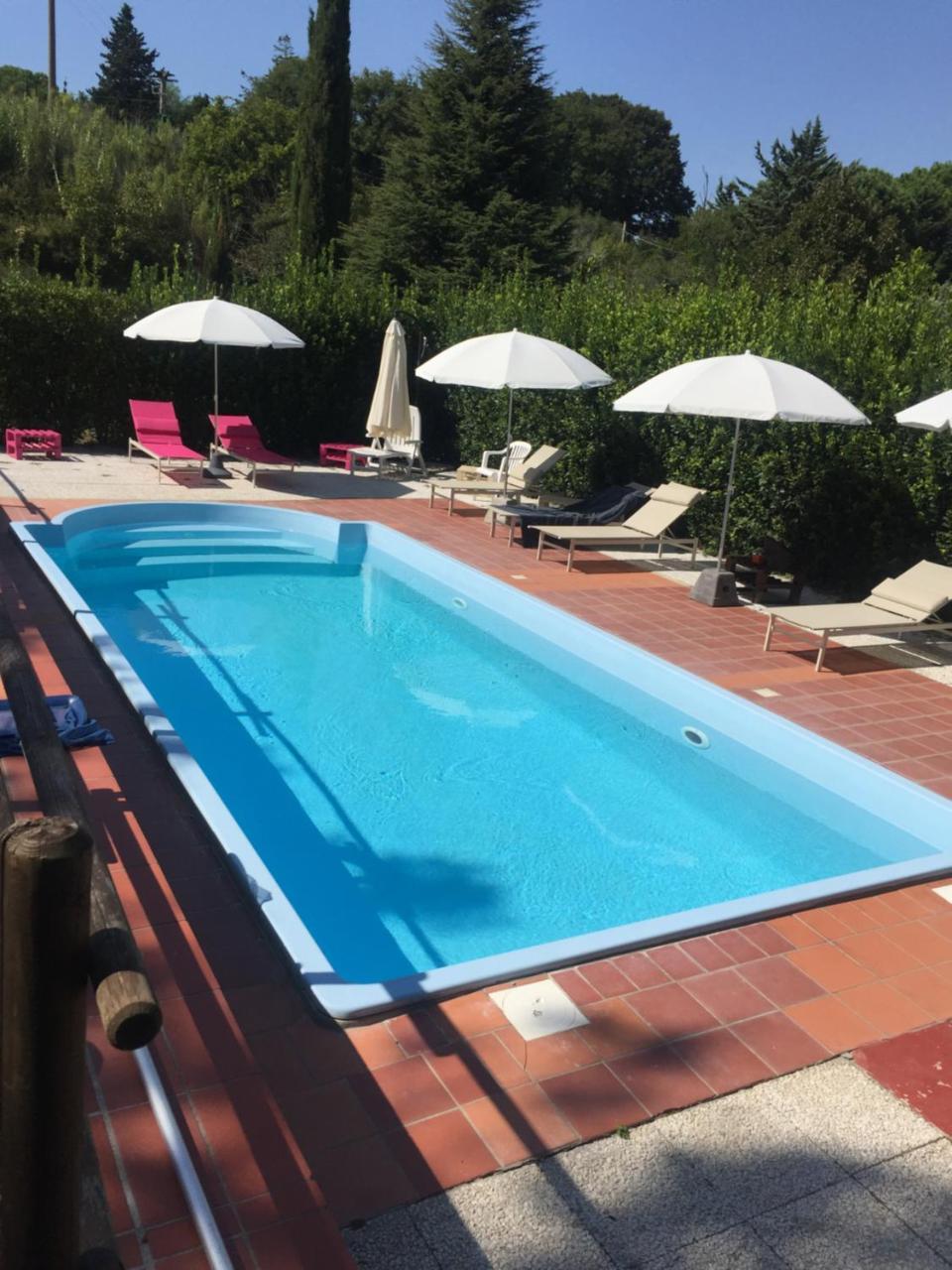 Agriturismo Le Colline Montescudaio Kültér fotó